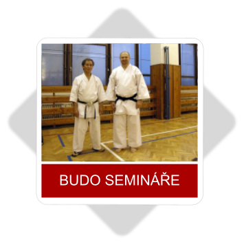 Budo semináře ...